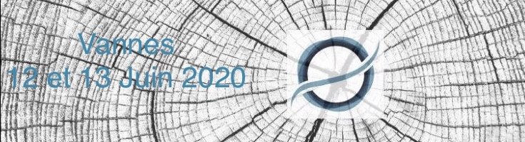 Bandeau congrès microkinesithérapie du 12 et 13 juin 2020